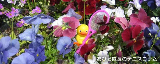あひる隊長のテニスコラム あひる隊長のテニスコラム